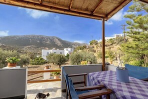 Basic Apartment, Mountain View | Terrace/patio