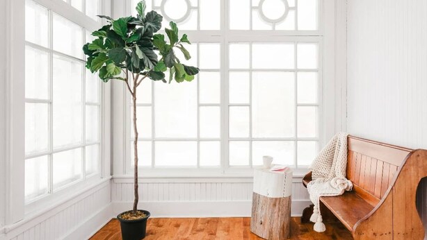 Una habitación con un ventanal grande, un banco de madera, una planta en maceta y una pequeña mesa blanca.