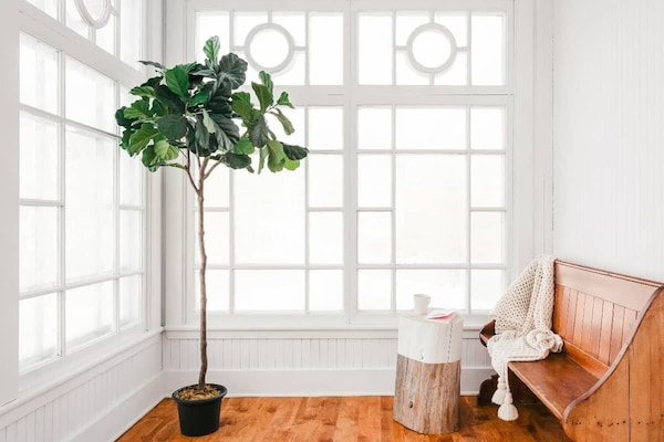 Comfort Loft | Terrace/patio