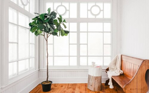 Lofts du Presbytère