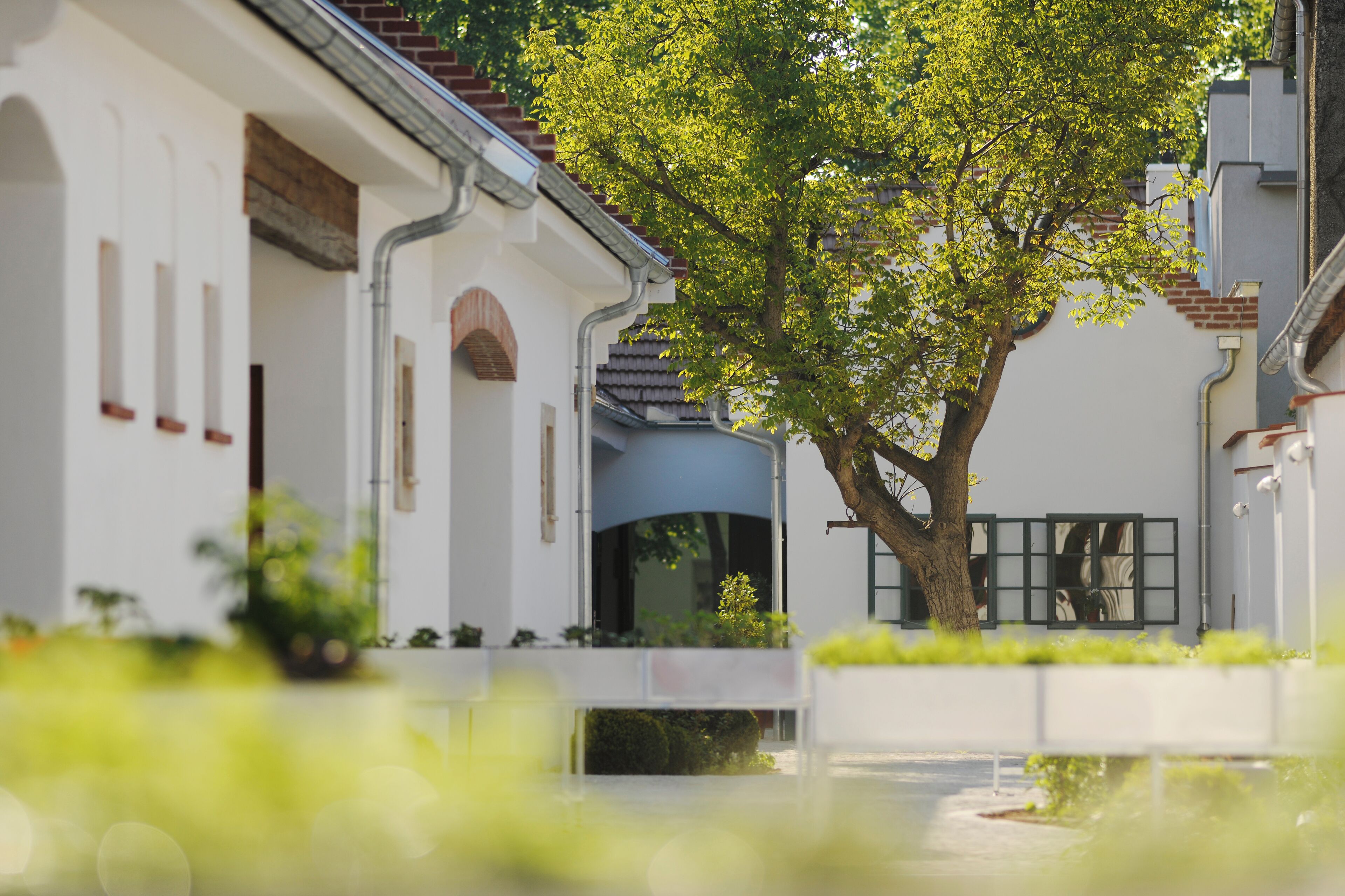 A white building with a tree in front, a blue awning, and a white fence.
