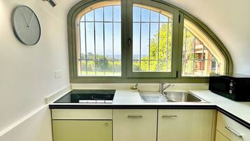 Een koelkast, een magnetron, een kookplaat, een vaatwasser