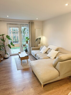 Älytelevisio, tietokoneen näyttö