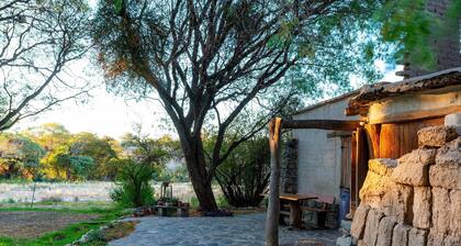 Cerco del Trigo. Total peace