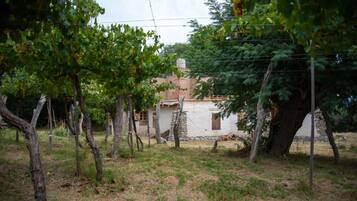 Un edificio rústico con fachada de piedra, rodeado de parras y árboles.