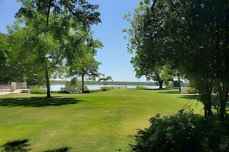 A grassy park area with trees and a view of a body of water.