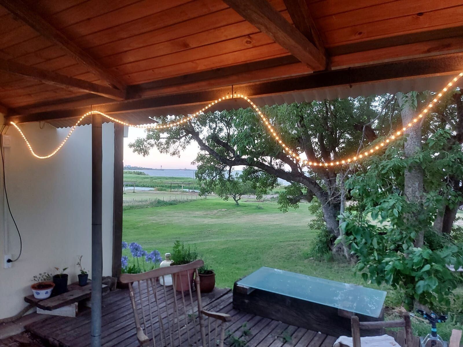 Un patio al aire libre con luces colgantes, un banco de madera y plantas en macetas.