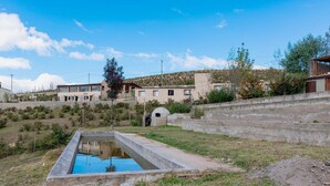 Un edificio moderno con piscina, rodeado de césped y un muro de hormigón.