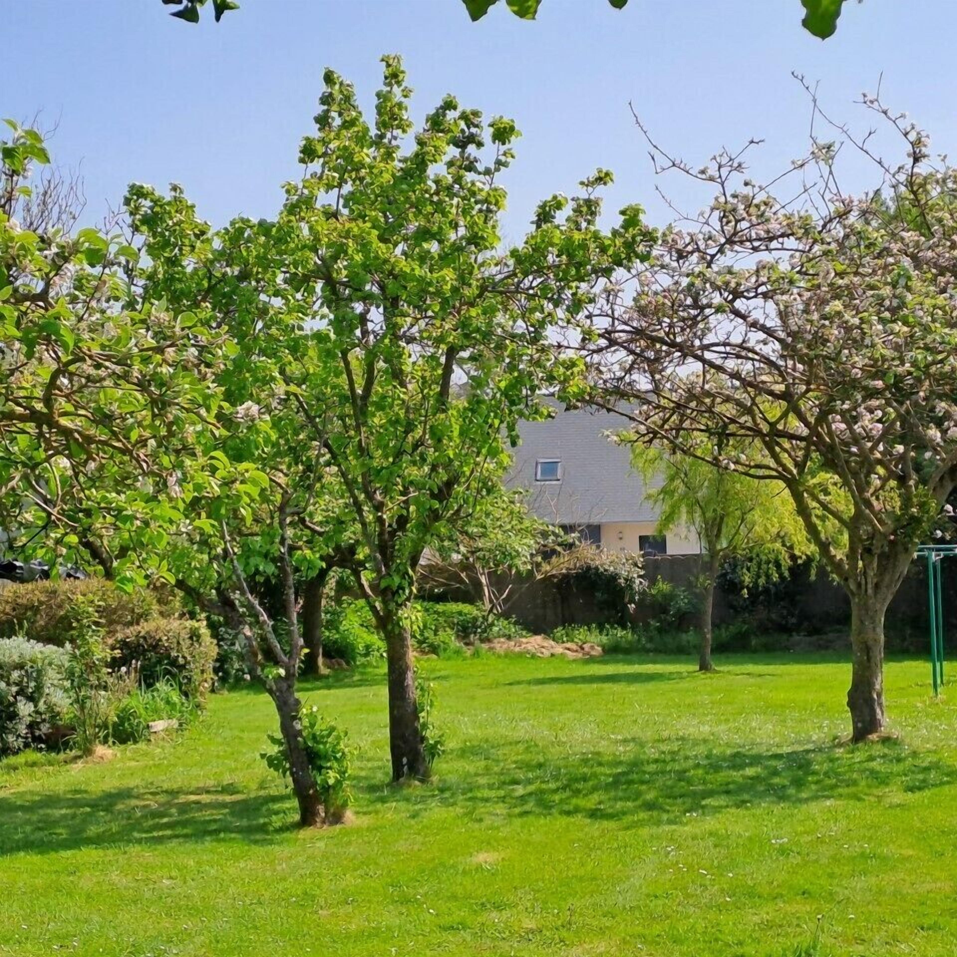 Un jardín bien cuidado con varios árboles y arbustos, césped y una casa al fondo.