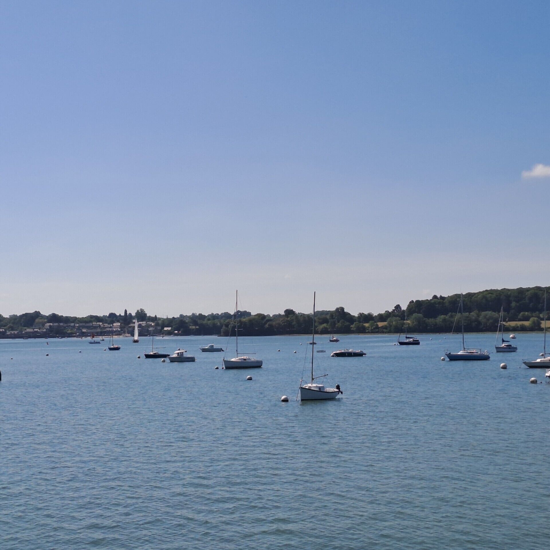 Un port de plaisance où de nombreux bateaux sont amarrés dans des eaux calmes.