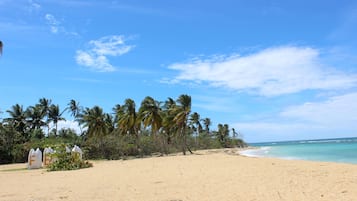 ใกล้ชายหาด