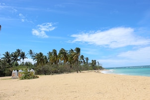 Una playa con palmeras y un cielo despejado.