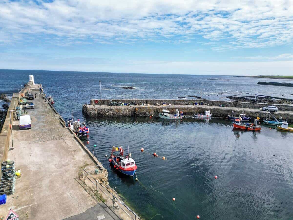 Port esportiu