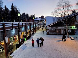 Sneeuw- en skisporten
