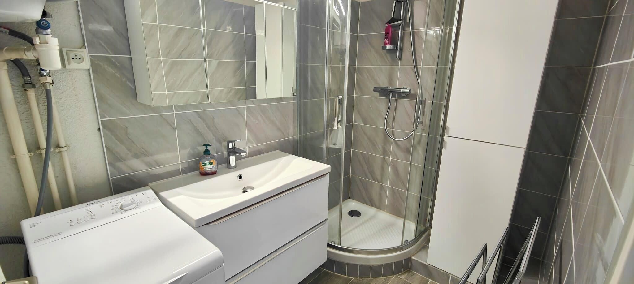 A modern bathroom with a white sink, a mirror, a handheld showerhead, and a glass-enclosed shower.