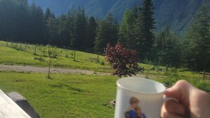A hand holding a mug with a person on it, overlooking a grassy field with trees and mountains in the background.