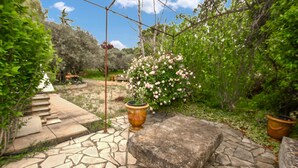 A stone pathway leading to a garden with a large rock, potted plants, and a pergola structure. - Beautiful home in Aubignan (Aubignan)