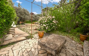Terrace/patio - Cozy home in Aubignan (Aubignan)