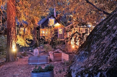 Enceinte de l’hébergement. Secluded mystical cabin in Idyllwild-Pine Cove