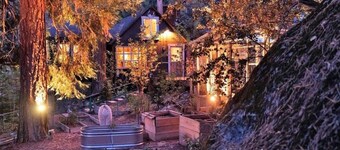 Secluded mystical cabin in Idyllwild-Pine Cove