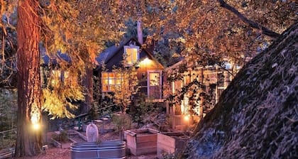 Secluded mystical cabin in Idyllwild-Pine Cove