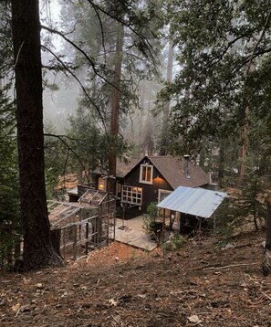 Exterior - Secluded mystical cabin in Idyllwild-Pine Cove (Idyllwild-Pine Cove)