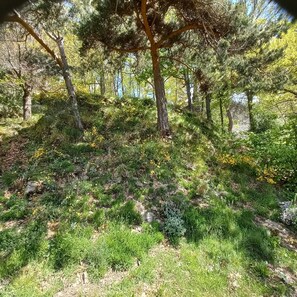 Parco della struttura