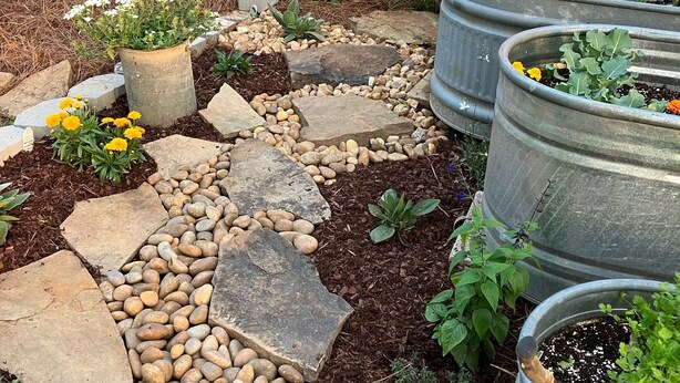 A garden bed with a variety of plants and decorative stones.
