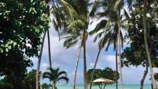 A swimming pool with clear blue water, surrounded by palm trees and a beach view. - Tulua House on Galu Beach: Private Villa @ Tamani (Diani)
