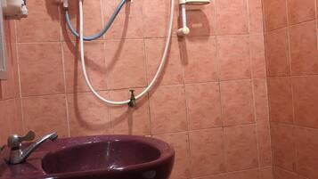 Shower, bidet, towels, soap