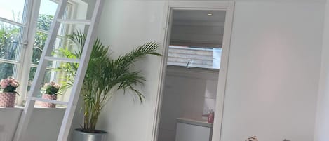 Ett modernt sovrum i loftstil med ett takfönster, en grå soffa, en krukväxt och en vit stege.