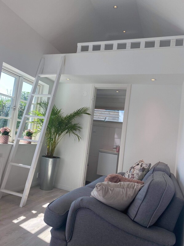 A modern loft bedroom with a skylight, a grey sofa, a potted plant, and a white ladder.