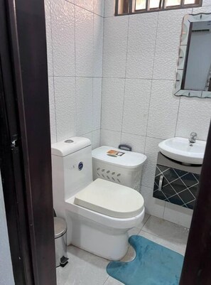 Serviettes fournies, savon, papier toilette