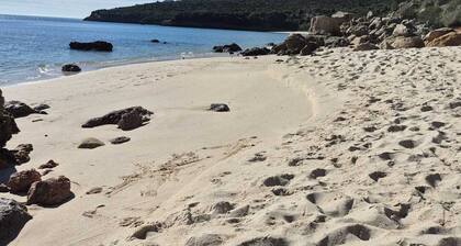 Family home in national park 15 minutes from Portugal's best beaches