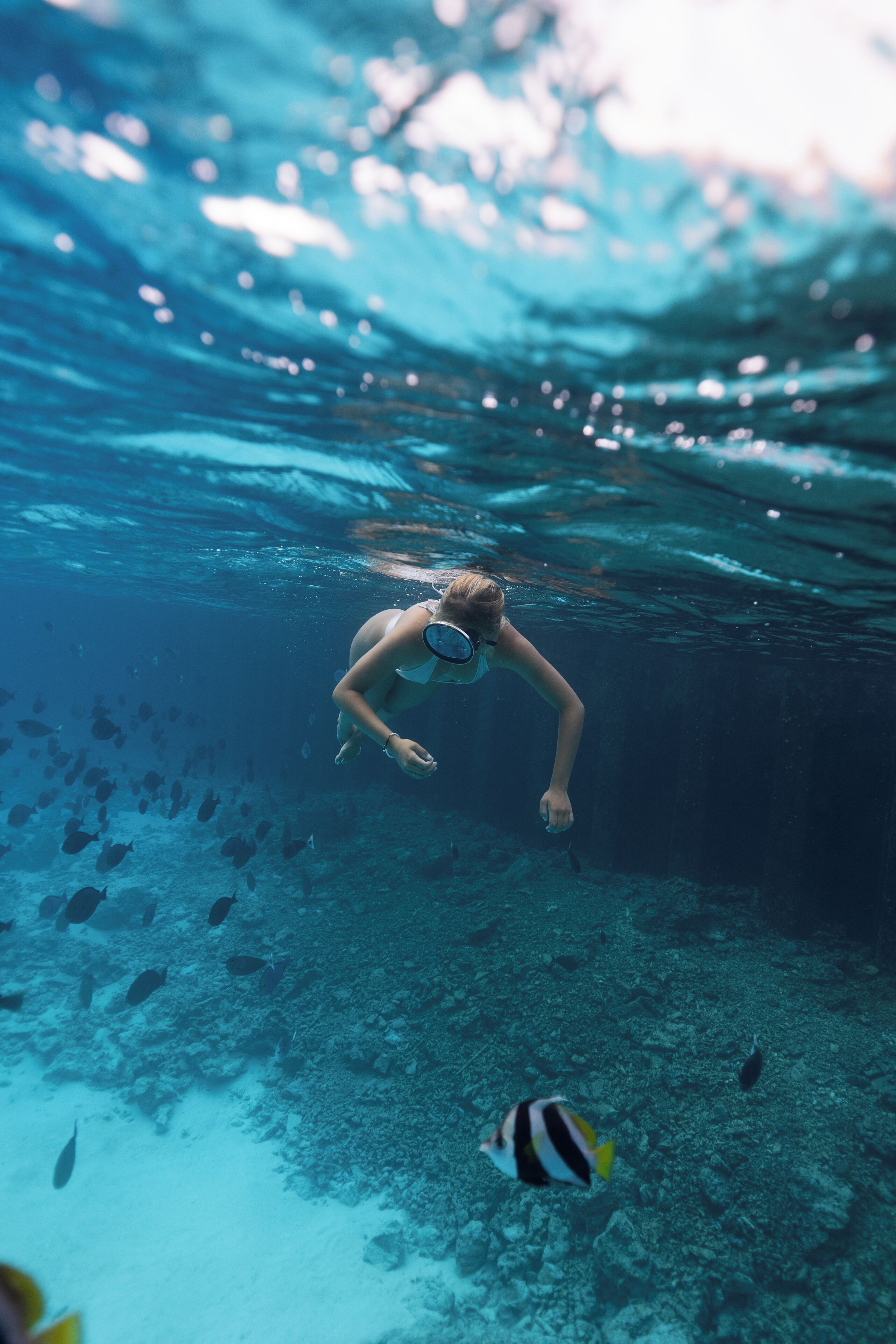 Una persona haciendo snorkel bajo el agua, rodeada de peces.