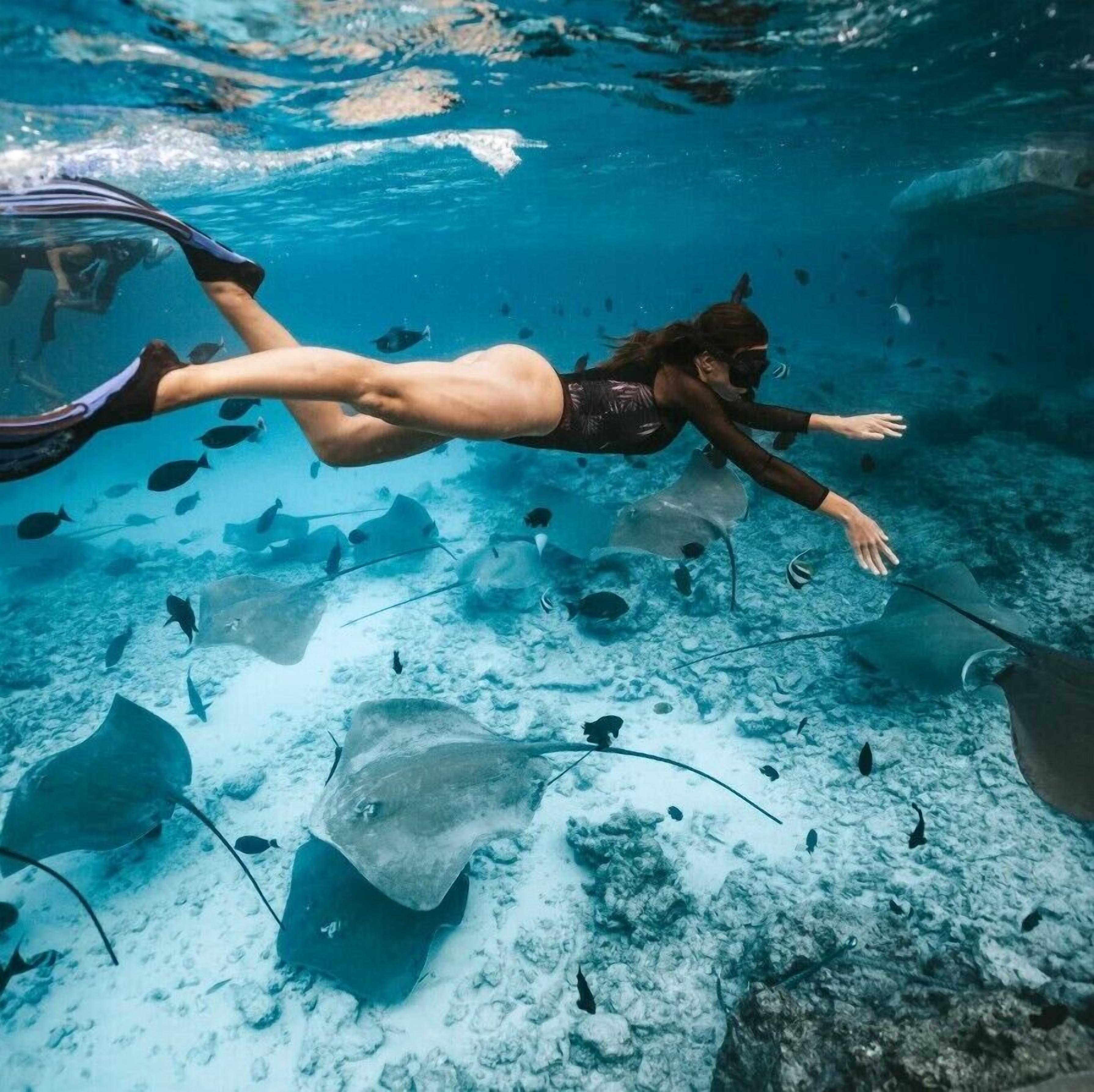 Surfing/boogie boarding