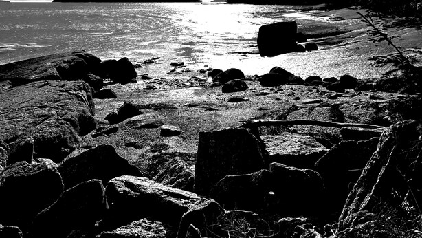 A black and white landscape with a rocky shoreline, trees, and a body of water.