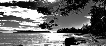 Oceanville Oasis on the Peaceful Island