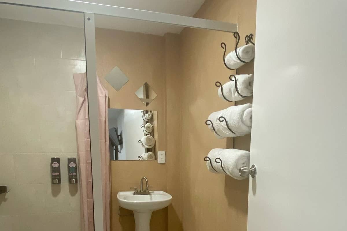 Classic Triple Room | Bathroom | Shower, towels, soap, shampoo