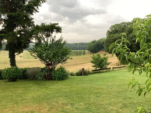 المنطقة المحيطة بالمنشأة