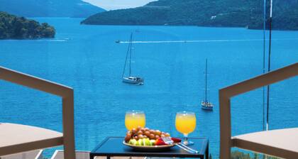 MANDRAGORAS ECO FRIENDLY