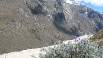 Un paisaje montañoso con un valle y un pico nevado.