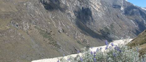 Un paisaje montañoso con un valle y un pico nevado.
