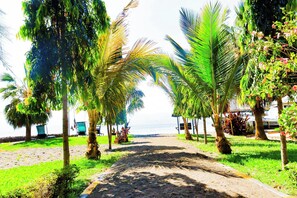 Garden - Siambi Resort (Mfangano Island)