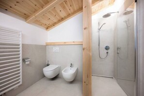 Shower, hair dryer, bidet, towels