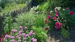 Un jardín con diversas flores y una valla de madera.