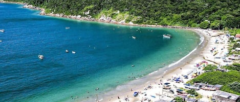 Una playa con aguas turquesas cristalinas, una orilla arenosa y un denso bosque verde al fondo.