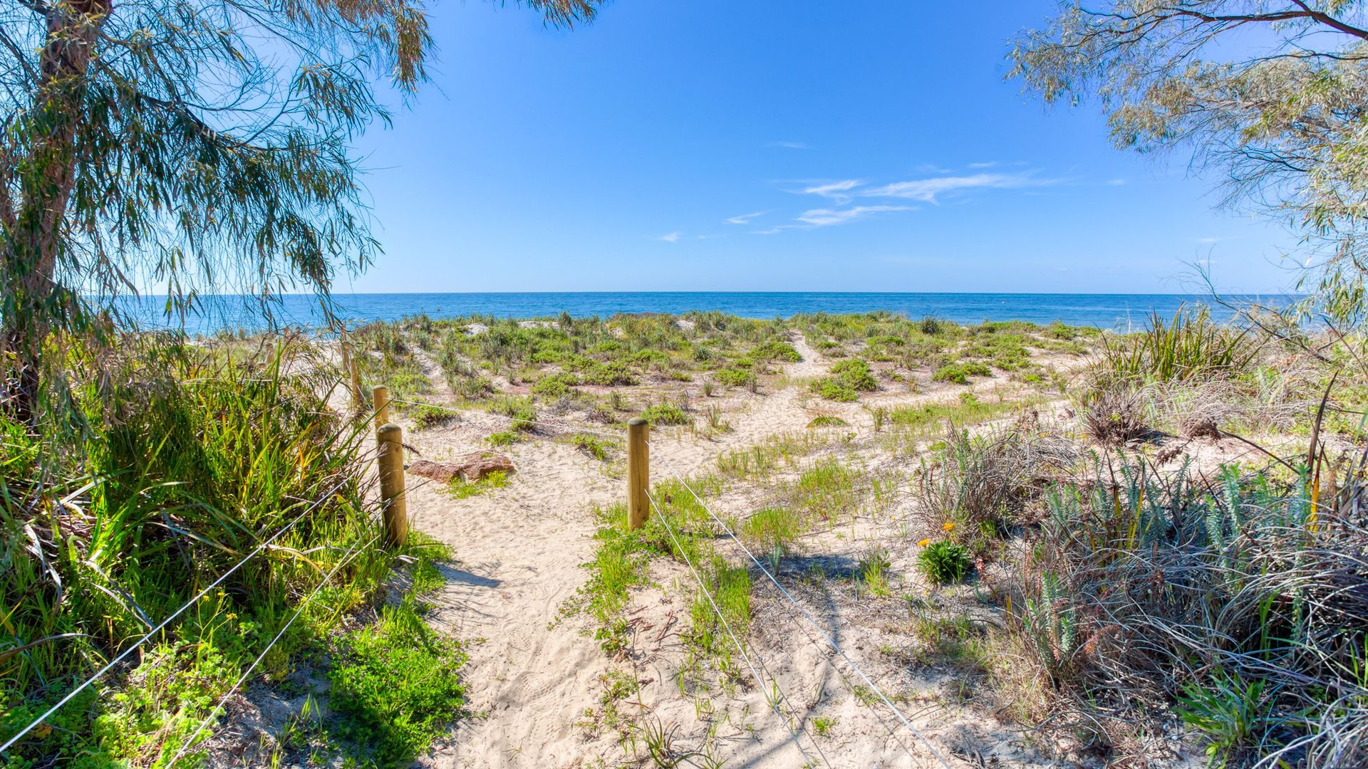 A sandy beach path leading to the ocean, surrounded by vegetation and a clear blue sky.