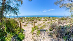 A sandy beach path leading to the ocean, surrounded by vegetation and a clear blue sky.