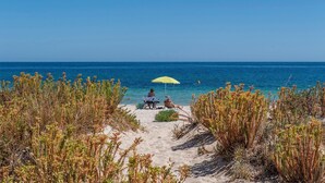 A beach scene with two people under a yellow umbrella, surrounded by dry vegetation.